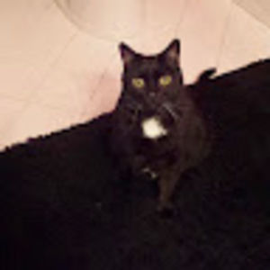 Meet your Posher, Donna